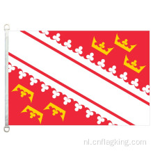 100% polyester 90*150 CM Elzas land banner vlag Elzas Nationale Vlag